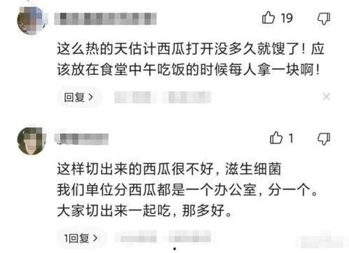 复旦大学吃瓜视频,揭秘校园生活趣味瞬间