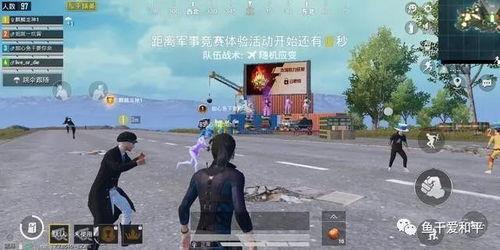 吃瓜老王卖马扎视频下载,下载背后的故事与趣味