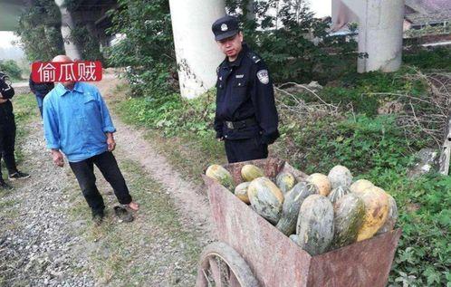 鸡泽县吃瓜事件真相视频,真相视频曝光背后的真相