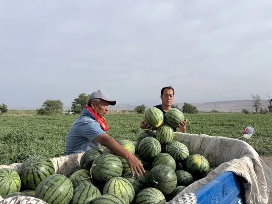 王六堡吃瓜视频,揭秘娱乐圈幕后故事