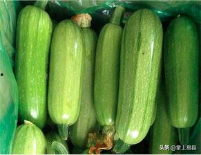 西葫芦瓜如何吃最好呢视频,这样吃最营养！