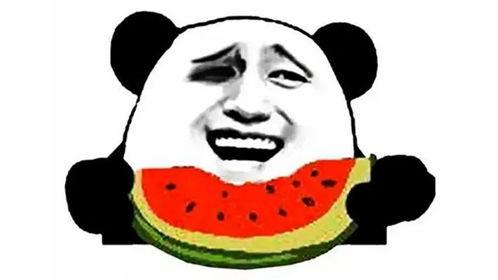 带你吃瓜爆笑视频冬天,带你领略冬季吃瓜的快乐时光