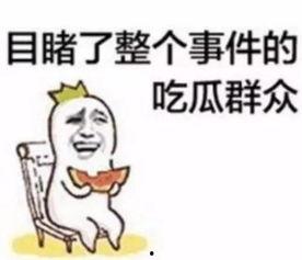 吵架围观吃瓜视频大全,吵架围观吃瓜视频大盘点，笑料百出，引人捧腹