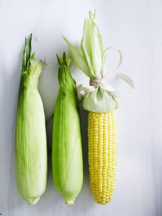 老瓜吃玉米苗好吗视频,揭秘玉米苗的食用价值与注意事项