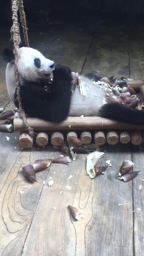 吃哈密瓜的小宝贝视频,小宝贝品尝哈密瓜的欢乐时光