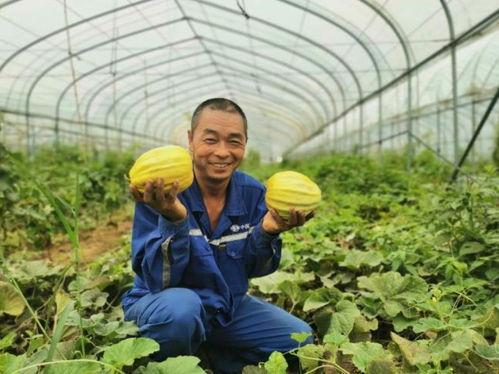 大新县吃瓜视频,揭秘当地特色美食与风土人情