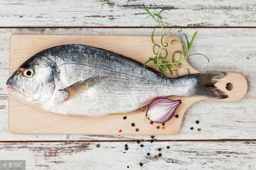 带你吃瓜奇怪鱼类视频,带你领略带你吃瓜视频中的奇异鱼类