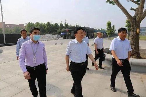 司法大战吃瓜群众视频大全,吃瓜群众视角下的精彩视频大盘点