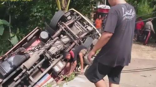 喂狗吃瓜群众视频真实,引发网友热议